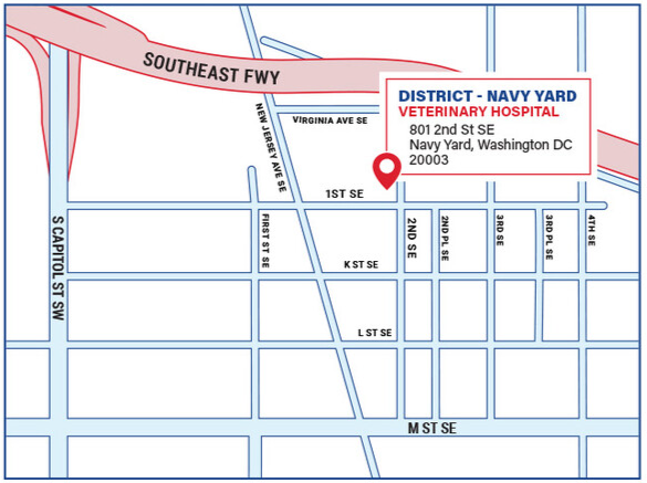 District Vet Navy Yard Map